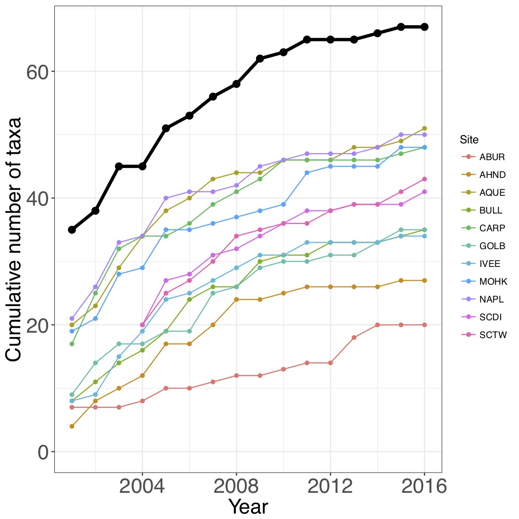 Species accumulation curve